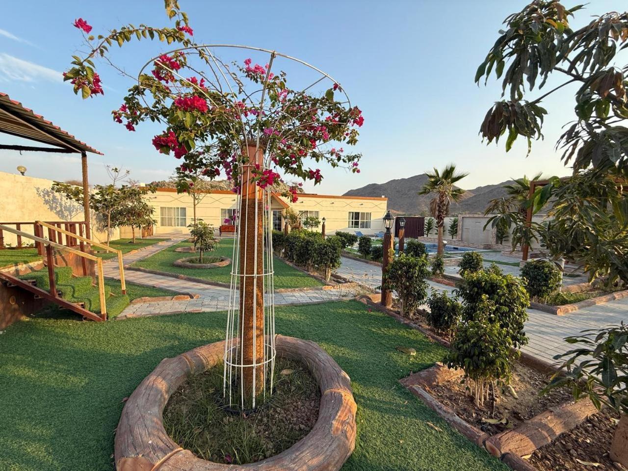 800 Mountain Resort Vacation House Fuyaira Exterior foto